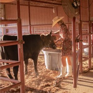 Meet your Posher, Abby